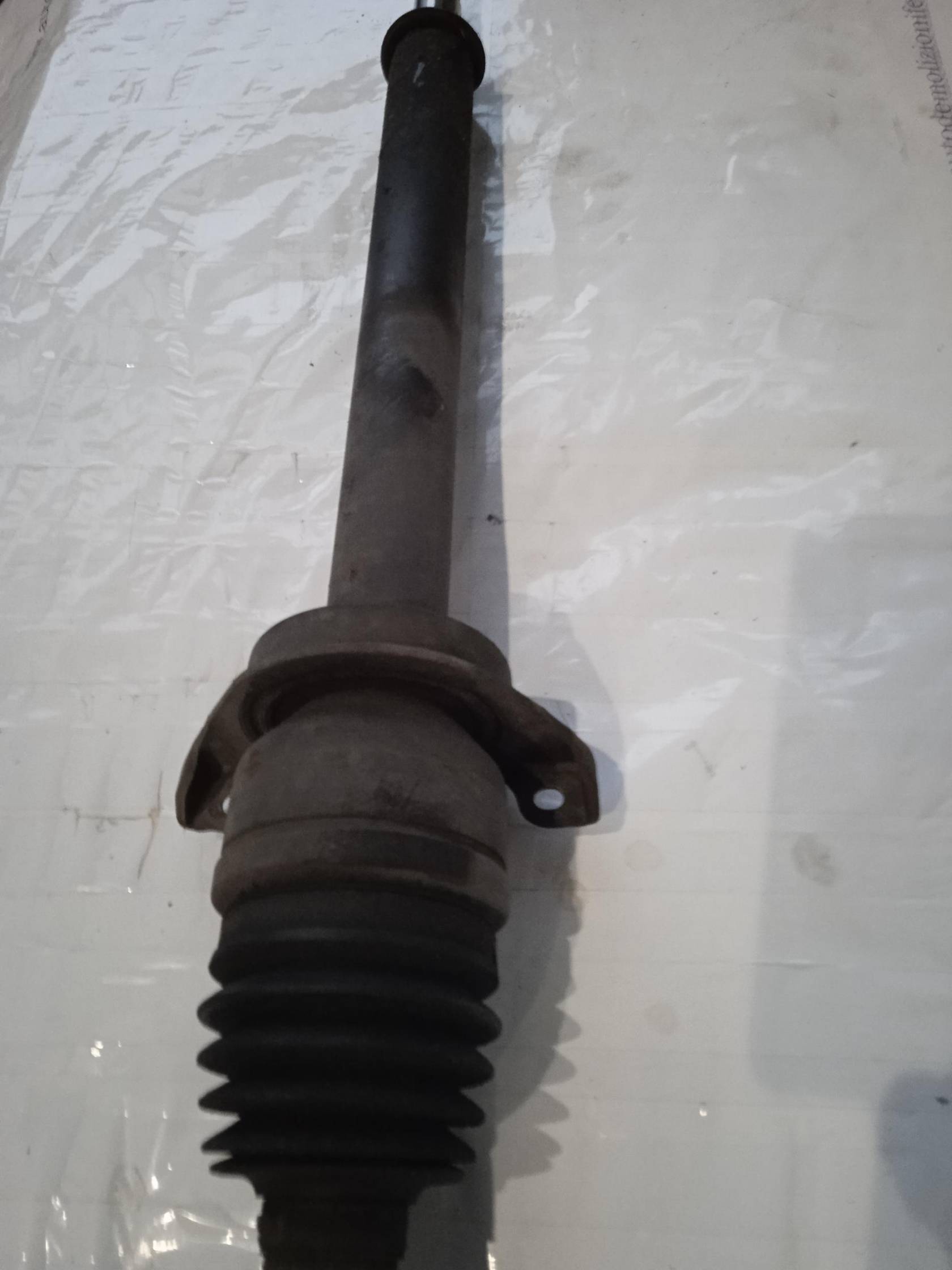 Semialbero ant. compl. dx.